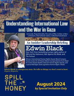 Insider Briefing on the Gaza War for Spill the Honey